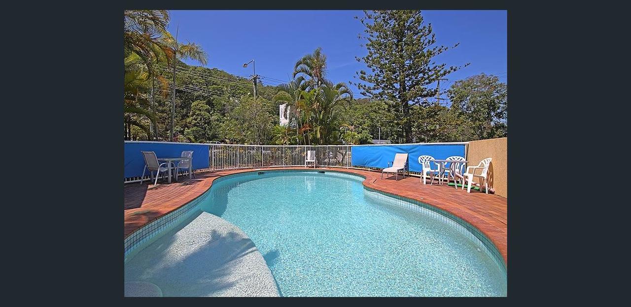 Koala Cove Holiday Apartments Gold Coast Eksteriør billede