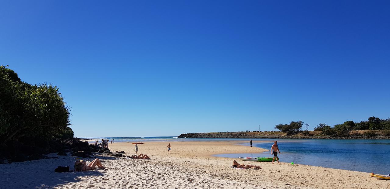 Koala Cove Holiday Apartments Gold Coast Eksteriør billede